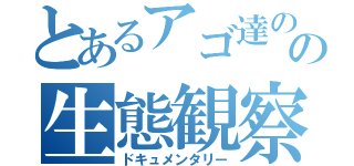 とあるアゴ達のの生態観察（ドキュメンタリー）