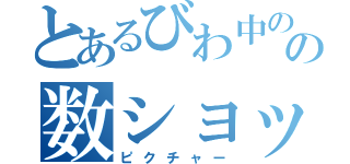 とあるびわ中のの数ショット（ピクチャー）