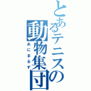 とあるテニスの動物集団（あにまるず）