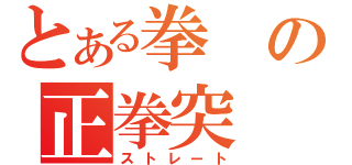 とある拳の正拳突（ストレート）