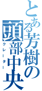 とある芳樹の頭部中央（クレーター）