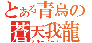 とある青鳥の蒼天我龍（ブルーバード）