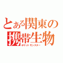 とある関東の携帯生物（ポケットモンスター）