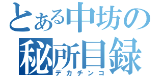 とある中坊の秘所目録（デカチンコ）