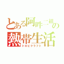 とある阿吽二組の熱帯生活（トロピクラフト）