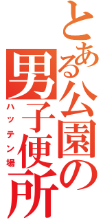 とある公園の男子便所（ハッテン場）