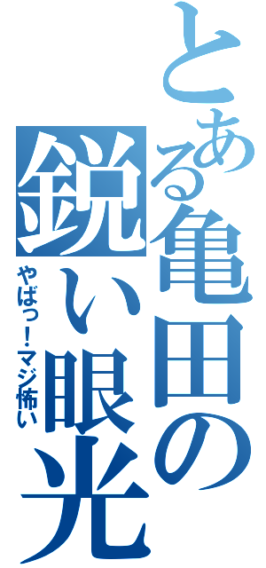 とある亀田の鋭い眼光（やばっ！マジ怖い）