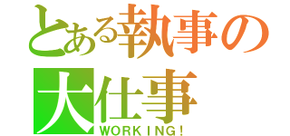 とある執事の大仕事（ＷＯＲＫＩＮＧ！）