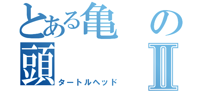 とある亀の頭Ⅱ（タートルヘッド）