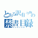 とある訳有り物件の禁書目録（インデックス）