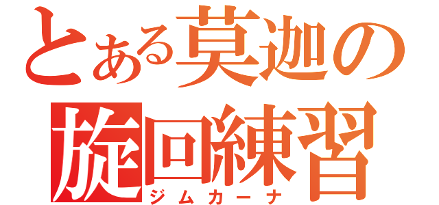 とある莫迦の旋回練習（ジムカーナ）