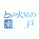 とある火星の瀬  戸（ハゲ）