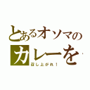 とあるオソマのカレーを（召し上がれ！）