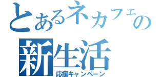 とあるネカフェの新生活（応援キャンペーン）