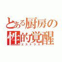 とある厨房の性的覚醒（エストラス）