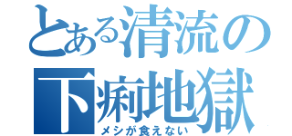 とある清流の下痢地獄（メシが食えない）