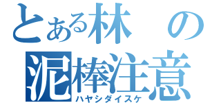 とある林の泥棒注意（ハヤシダイスケ）