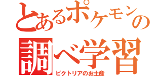 とあるポケモンマスターの調べ学習（ビクトリアのお土産）