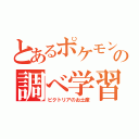 とあるポケモンマスターの調べ学習（ビクトリアのお土産）