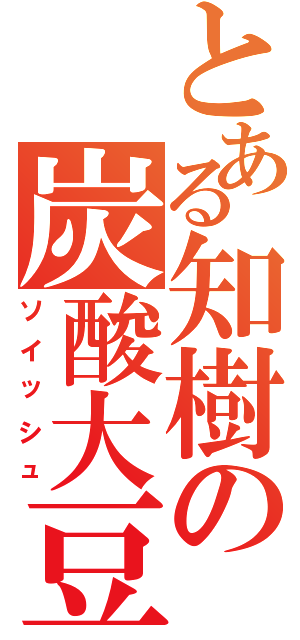 とある知樹の炭酸大豆（ソイッシュ）