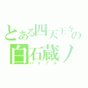 とある四天王寺の白石蔵ノ介（バイブル）