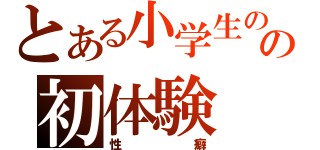 とある小学生の時の初体験（性癖）