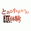 とある小学生の時の初体験（性癖）