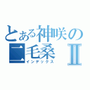 とある神咲の二毛桑Ⅱ（インデックス）