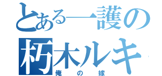 とある一護の朽木ルキア（俺の嫁）