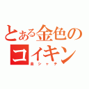 とある金色のコイキング（金シャチ）