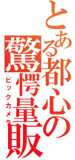 とある都心の驚愕量販（ビックカメラ）