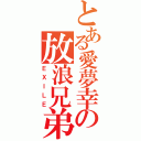 とある愛夢幸の放浪兄弟（ＥＸＩＬＥ）