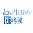 とある生石の排球魂（インデックス）