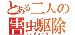 とある二人の害虫駆除（キンチョール）