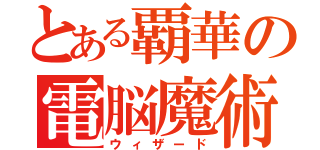 とある覇華の電脳魔術（ウィザード）