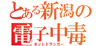 とある新潟の電子中毒（ネットドラッガー）