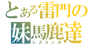 とある雷門の妹馬鹿達（シスコン共）