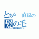 とある一直線の髪の毛（誰にも真似できない）