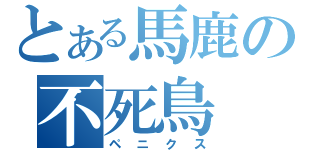 とある馬鹿の不死鳥（ペニクス）