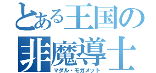 とある王国の非魔導士嫌い（マダル・モガメット）