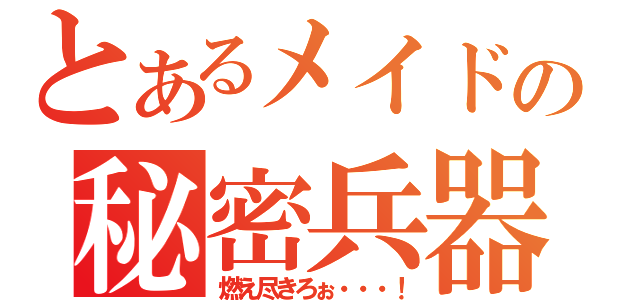 とあるメイドの秘密兵器（燃え尽きろぉ・・・！）