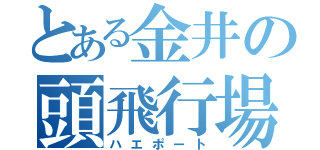 とある金井の頭飛行場（ハエポート）