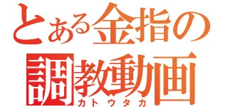 とある金指の調教動画（カトウタカ）