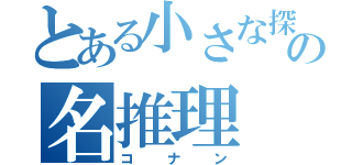 とある小さな探偵の名推理（コナン）