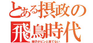 とある摂政の飛鳥時代（妹子がピンと来てない）