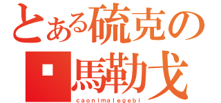 とある硫克の你馬勒戈壁（ｃａｏｎｉｍａｌｅｇｅｂｉ）