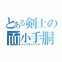 とある剣士の面小手胴突（メンコテドウツキ）