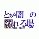 とある闇の溺れる場所（闇に狂って壊れてく）