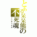 とある呆呆熊の不死魂Ⅱ（インデックス）