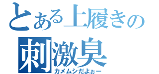 とある上履きの刺激臭（カメムシだよぉー）